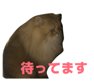 852688670