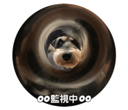 852690115