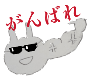 852690146