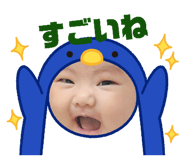 852690645