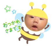 852690646