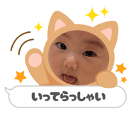 852690648