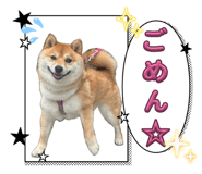 852690681