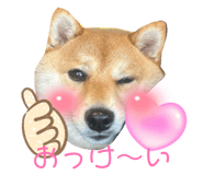 852690683