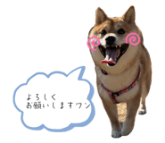 852690688