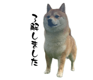 852690689