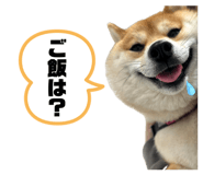 852690691
