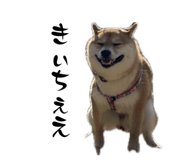 852690693