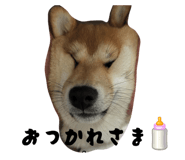 852690695
