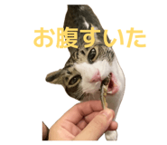 852691570