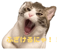 852691571