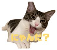 852691573