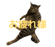 852691574