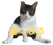 852691576
