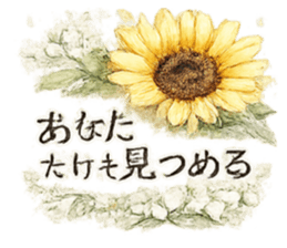 852695429
