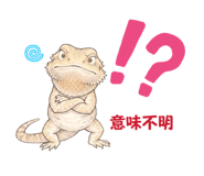 852695553