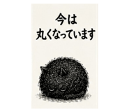 852696812