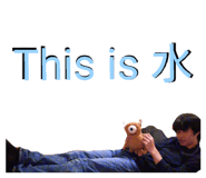 852697369