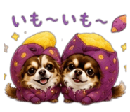 852697554