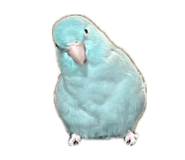 852697810