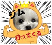 852698578