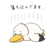 852700276