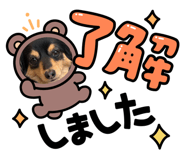 852701409
