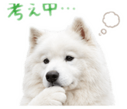 852701539