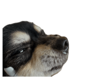 852702010