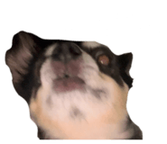 852702011