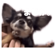 852702013