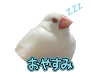 852702041