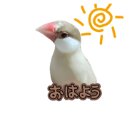 852702042