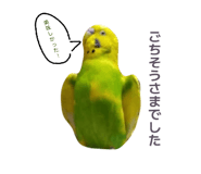 852702044