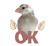 852702048