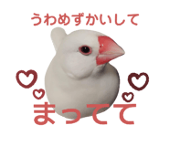 852702053