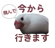 852702056
