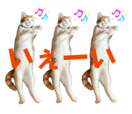 852702956