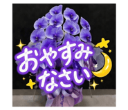 852703574