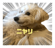 852703705