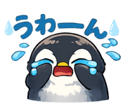 852704156