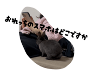 852704237