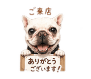 852704379