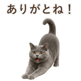 852705417