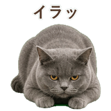 852705418