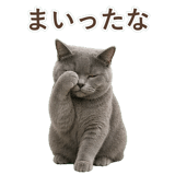 852705419