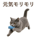 852705420