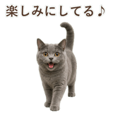 852705423