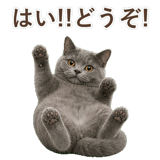 852705429