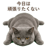 852705430
